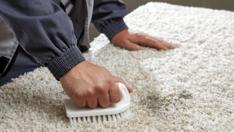 Professional Rug Cleaning Caroline Springs